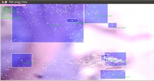 flob_parts_linux_Screenshot3a