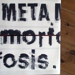 metamorfosisDSC00934