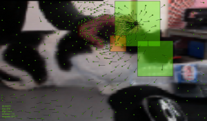 videoboids-02851